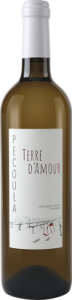 Terre d'Amour - vin blanc du Domaine de Pécoula